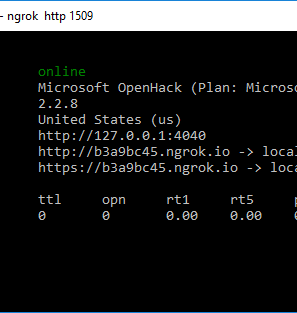 Public urls for you local Web Server using ngrok